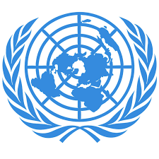 Image result for UN LOGO