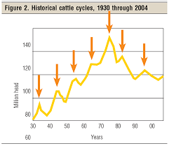 Is The Cattle Cycle Back Beef Magazine