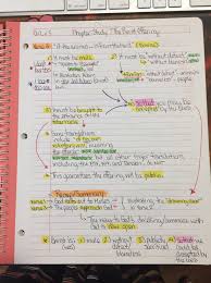 Moses was the author of the book of leviticus. Leviticus Chapter 1 The Burnt Offering