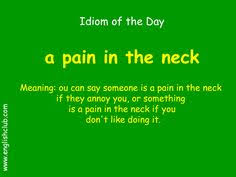 Pin By Teflnet On Idiom Of The Day English Phrases English Idioms Conversational English