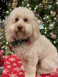 Happy New Year!!! From us to yours 🥰 #newyear #newyear2025  #newyearsresolution