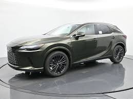 Image result for Black Forest 2006 RX