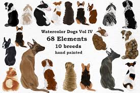 The dog clipart collection features illustrations of dog anatomy arranged into galleries. Dog Clipart Dog Breeds Pet Clipart Graphic By Lecoqdesign Creative Fabrica