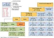 Image result for genology DNA