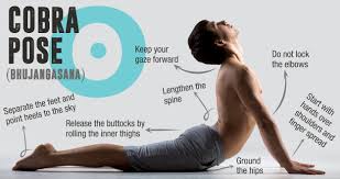 Are You Making These 7 Mistakes In Cobra Pose Cobra Pose Yoga Cobra Pose Exercise