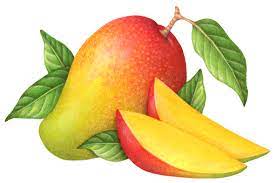 Pin On Tropical Fruit Illustration