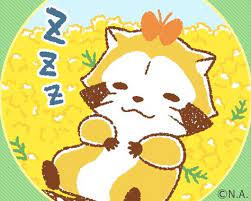 藤ヶ谷太輔 藤ケ谷太輔 ラスカル 桃色 ピンク. ãƒ©ã‚¹ã‚«ãƒ«