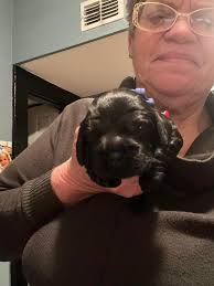 ⚠️⚠️⚠️For your eyes only⚠️⚠️⚠️