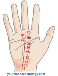 Fate Line Career Line Job Line Palmistry Chinese Palm Reading Palm Reading Palmistry Reading Palmistry