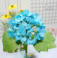 Kết quả hình ảnh cho cẩm tú cầu nhiều màu