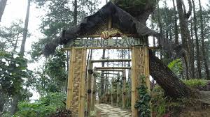 We did not find results for: Indahnya Pemandangan Telaga Ngebel Dari Ketinggian Mloko Sewu Ponorogo Lestiaa S Perjalanan Dan Pengalaman
