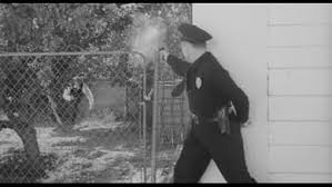 Five Minutes to Live (1961) - IMDb