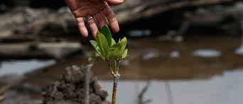 Mark this forum read | subscribe to this forum. 5 Reasons Why Biodiversity Matters To Health And The Economy World Economic Forum