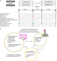 A Low Gluten Diet Induces Changes In The Intestinal