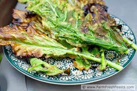 Grilled Kohlrabi Leaf Chips On A Stick Kohlrabi Recipes Good Healthy Recipes Kohlrabi