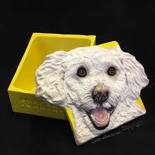 Custom Dog Cat Animal Pet Urn Box