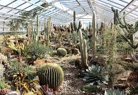 Dezember wieder die ausstellung tropische schmetterlinge geöffnet. Datei Botanischer Garten Munchen Gewachshaus Mit Kakteen Jpg Wikipedia