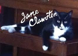 25 Literary Pun Names For Your Cat Cat Names Girl Cat Names Boy Cat Names