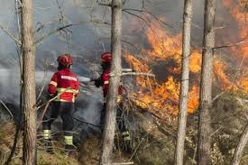 Apesar de a maioria deles ter sido controlada, em 5 de agosto havia dez incêndios ativos registrados por essa instituição estatal. Cinco Fogos Ativos No Pais Pampilhosa Da Serra E Nelas Sao As Maiores Preocupacoes Portugal Correio Da Manha
