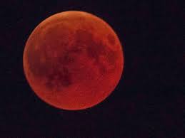 Wer den mond genau beobachtet, kann zwei gegenläufige bewegungen feststellen: Totale Mondfinsternis 2019 Wann Und Wo Der Blutmond Zu Sehen Ist