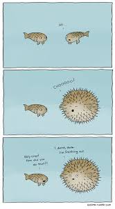 The Awkward Moment When You Realize That You Re A Puffer Fish Imgur Liz Climo Comics Funny Comics Cute Comics