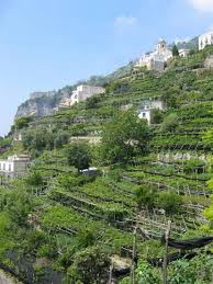 Vegetable Garden Ideas For More Information Visit Image Link Vegetable Garden Design Vegetable Garden Tuscan Garden