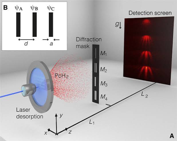 In search of multipath interference using large molecules | Science Advances