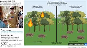 Chapter 3: Properties of Populations – Applied Ecology