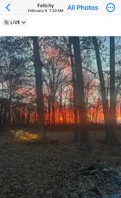 Hi all! I just wanted to introduce myself and share a photo I took. This is  looking back towards the horses pastures through the woods. Just a gorgeous  sunrise! Felicity, Ohio USA |