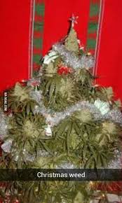 We did not find results for: Christmas Weed Oh Christmas Weed I Wonder When I Ll Smoke You 9gag