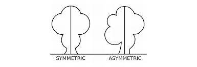 For some people, however, the degree of asymmetry is particularly pronounced as a result of their jaw alignment or crooked teeth. Symmetry Vs Asymmetry Recalling Basic Design Principles Interaction Design Foundation Ixdf