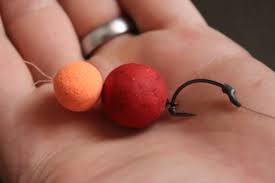 The snowman rig is another simple but highly capable carp rig. How To Tie The German Rig By Evan Cartabiano Rod Hutchinson