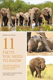 Wordpress Com In 2020 Africa Travel Beautiful Places Africa Travel Guide Africa Travel