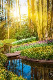 Max specializes in creating large format, limited edition, gallery quality fine art prints and has had the privilege of working with. Sunrise Beam In The Beautiful Park Spring Nature Scene Beautiful Stock Photo Picture And Royalty Free Image Image 142228517
