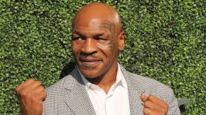 Mike Tyson Net Worth His Financial Comeback From Bankruptcy Gobankingrates