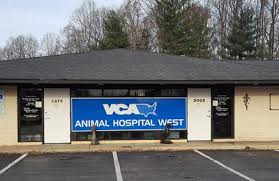 We are a certified cat friendly practice by the american association of feline practitioners! Vca Animal Hospital West 412 Jonestown Rd Winston Salem Nc 27104 Yp Com