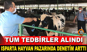 Isparta Hayvan Pazarinda Denetimler Arttirildi Uyan 32