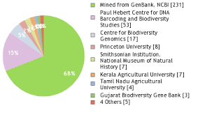 Image result for Cucumis sacleuxii