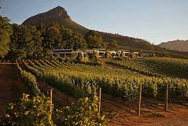 Delaire Graff Estate Is Found Beneath The Historic Botmaskop Peak Atop Helshoogte Pass Stellenbosch Provinces Of South Africa South Africa Stellenbosch