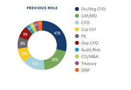 Impress recruiter in seconds with visual resume South Africa Cfo Route To The Top