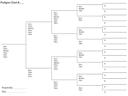 Free Printable Pedigree Chart Pedigree Chart Family Tree