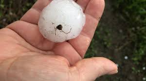 Fig., scarica, fitta caduta di oggetti: Violenta Grandinata Con Chicchi Come Palline Da Golf Colpisce Ulteriormente La Pianura Cuneese Cuneocronaca It