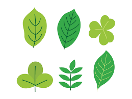 Maybe you would like to learn more about one of these? 40 Free Leaf Coloring Pages Printable