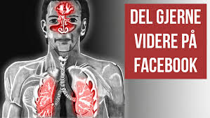 Men effekten er bare at du blir frisk ca. 7 Enkle Tips Som Far Bort Slim I Hals Nese Og Lunger Umiddelbar Virkning