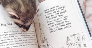 книга в метре друг от друга читать онлайн бесплатно Pin Na Doshci Art