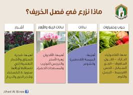 Pin On حديقة
