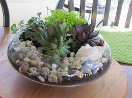 Pin By Heyam Yasin On Garden Dish Garden Succulent Garden Diy Succulents Indoor