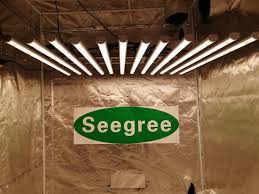 Seegree 800w Led Grow Bar Led Grow Lights Best Led Grow Lights Grow Lights