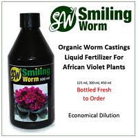 Maybe you would like to learn more about one of these? Africano Violeta Uva Tratar Planta Ao Vivo Em Pote Ebay