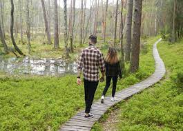 It covers an area of 46.13 square kilometres of forests. Tajemnicze Kacze Oko Spoglada Na Bory Tucholskie Zdjecia Gazeta Pomorska